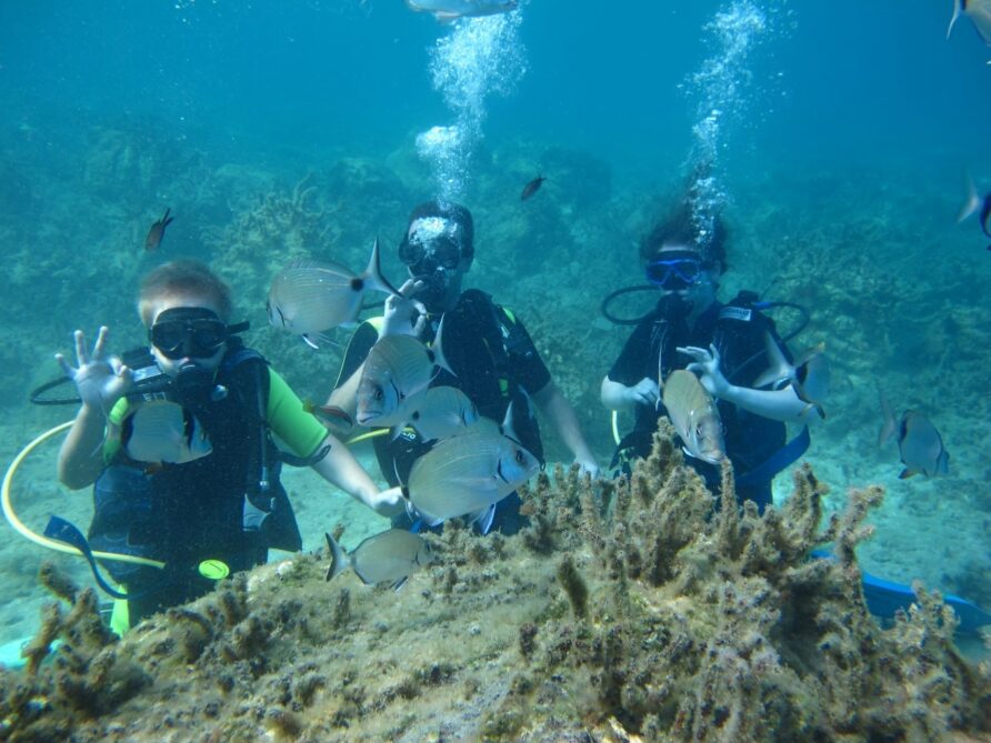 Discover the Scuba Diving